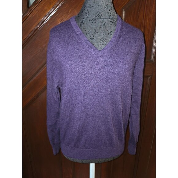 Express Italian Merino Wool Purple V-Neck Sweater L - Picture 1 of 6